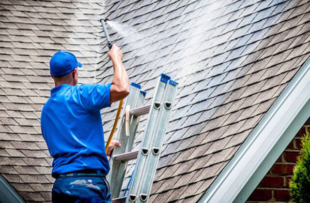 fremont roof cleaning